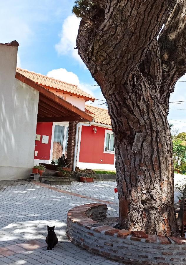 Casa De Campo A 5 Minutos Da Praia Atouguia Da Baleia Exterior photo